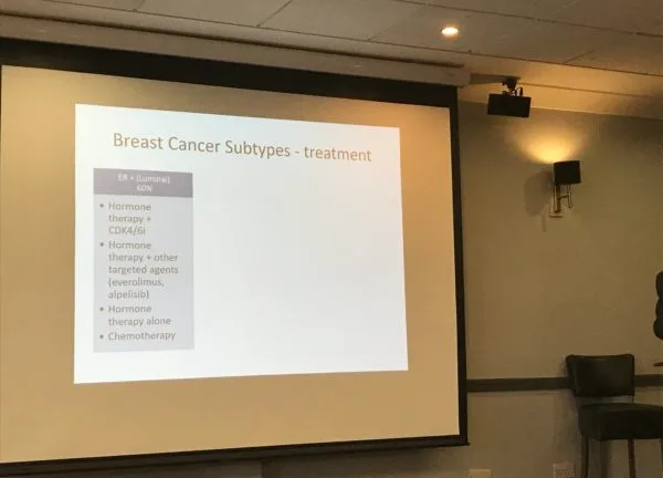 A conference slide headed Breast cancer subtypes and their treatment, comparing hormone therapy, targeted agents and chemotherapy.