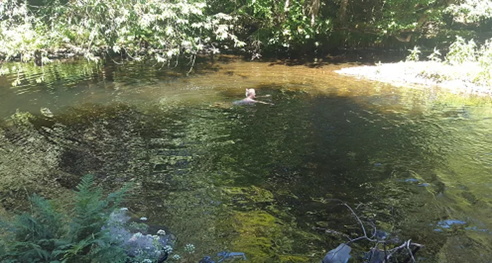 Beth swim