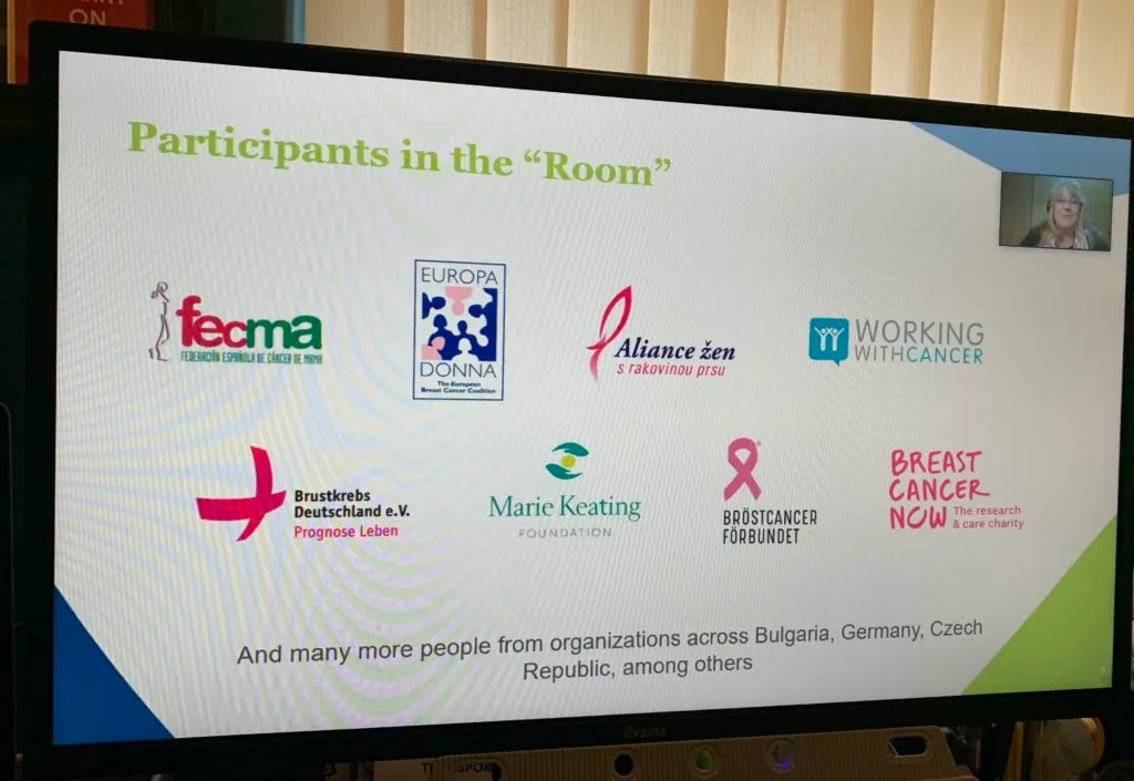 Screenshot of organisations involved in ECPC Roundtable
