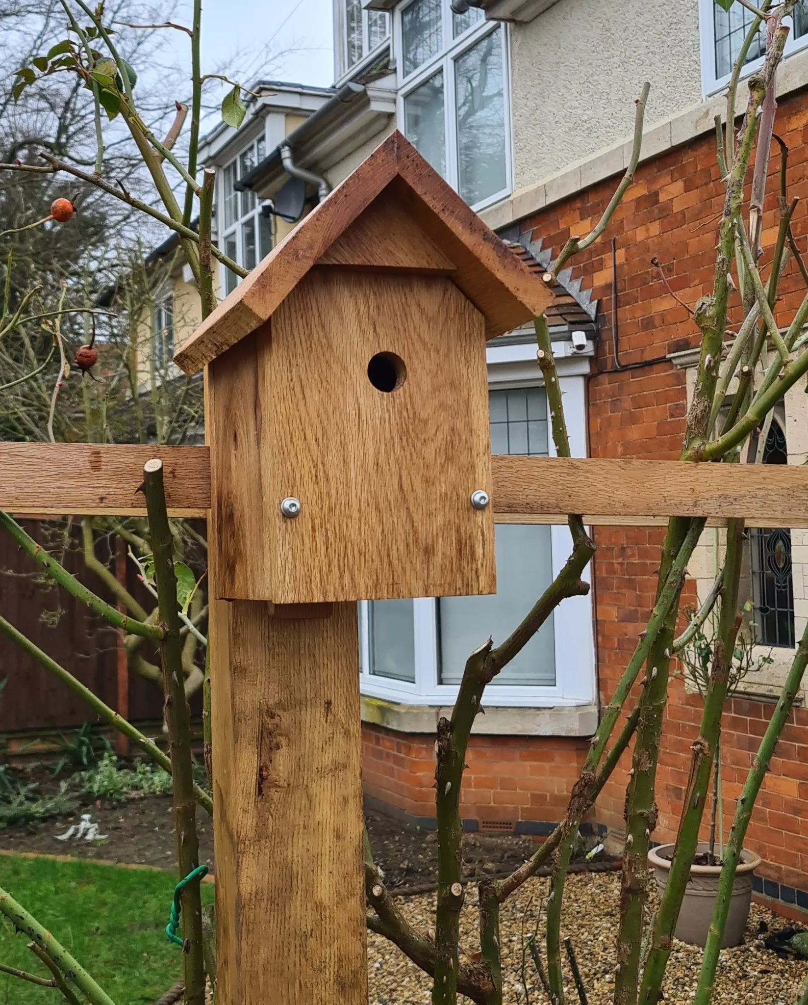 Birdbox 1