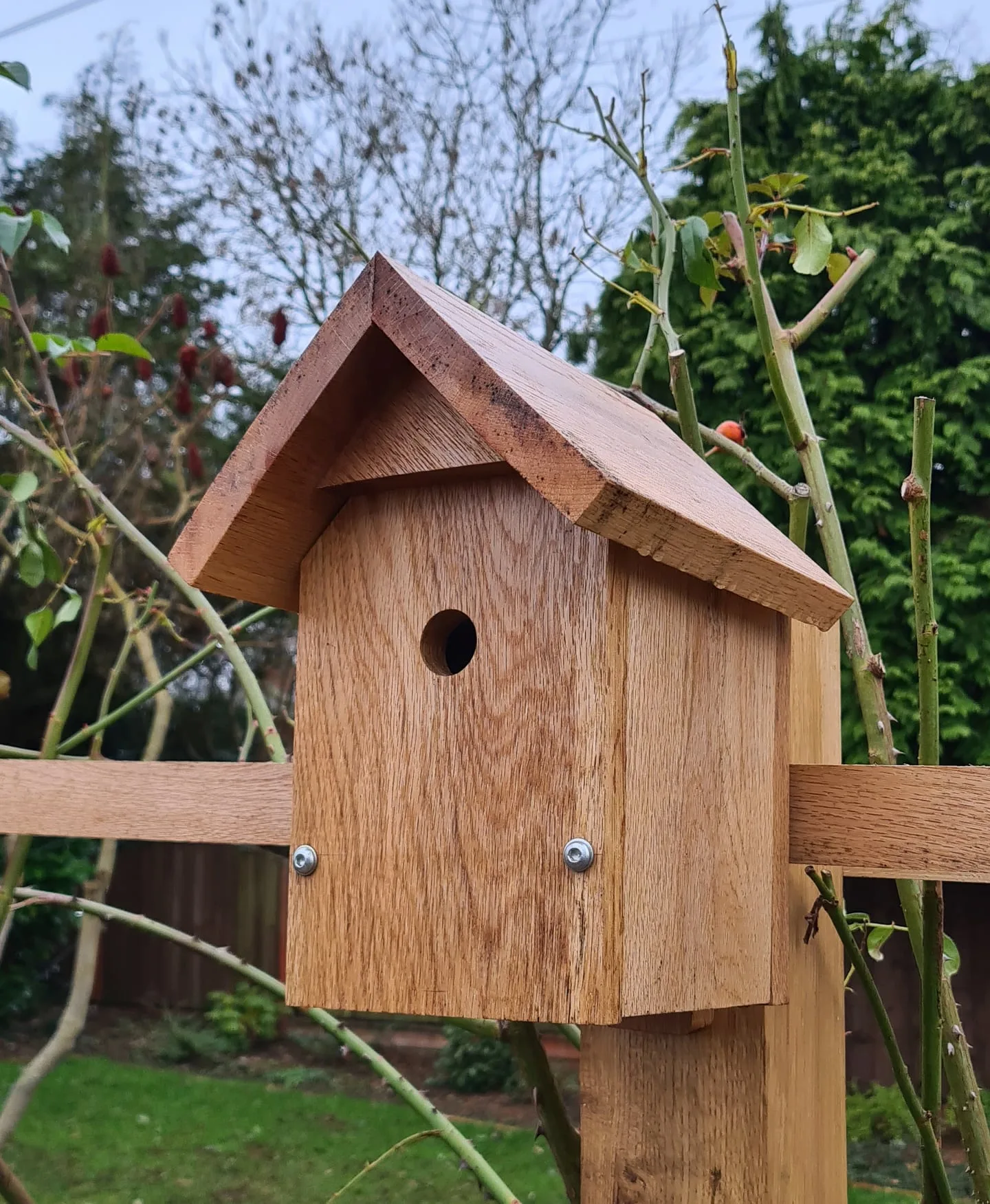 Birdbox 3