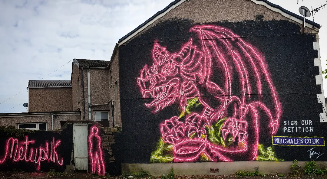The Gammon Dragon: a large pink line-drawn dragon painted across the gable end of a house, signed MetUpUK, with the words Sign our petition, mbcwales.co.uk.