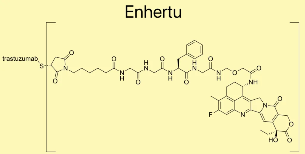 Enhertu